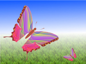 unique_butterfly